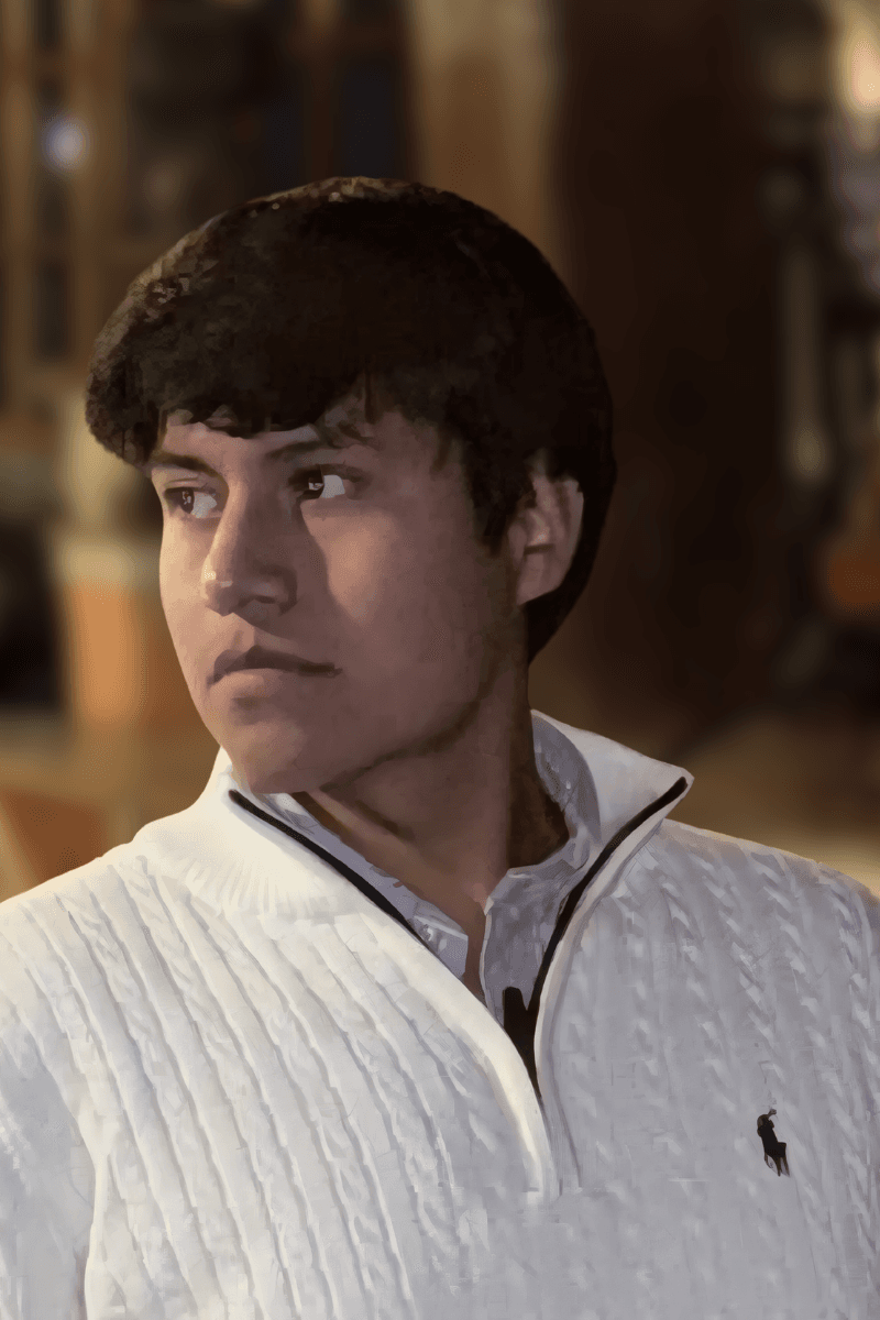 Junior - Director de Proyectos